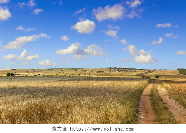 蓝色天空下辽阔的草原风景图希望的田野